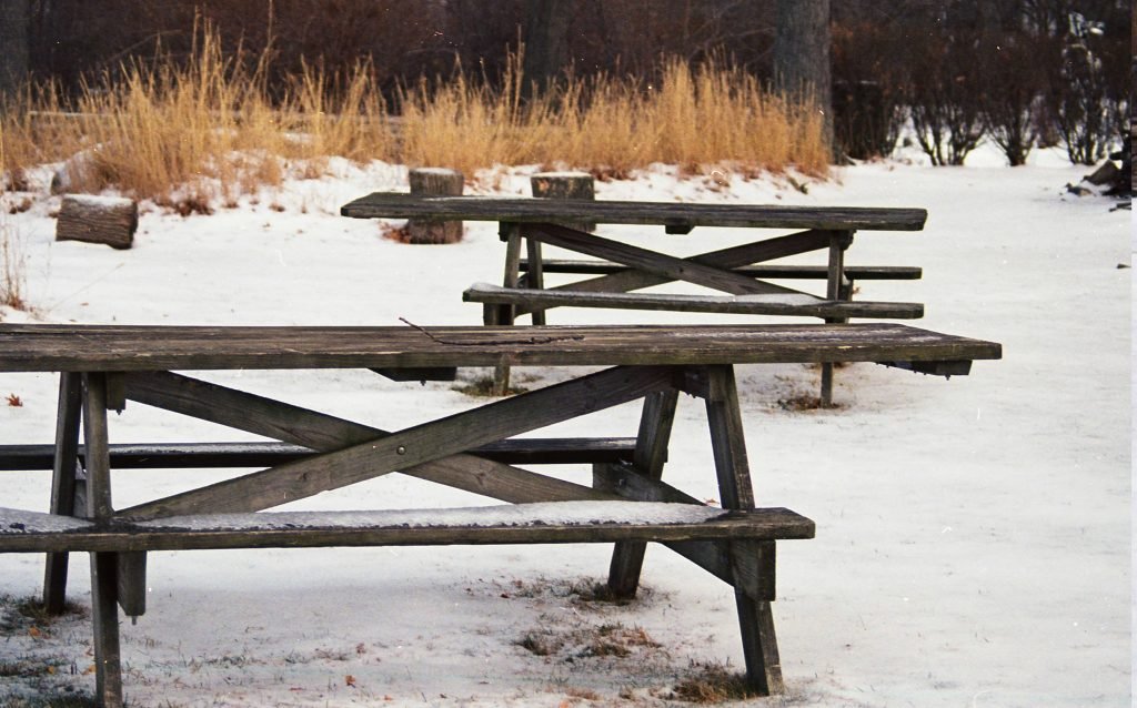 Best Deck Sealers for Pressure Treated Wood